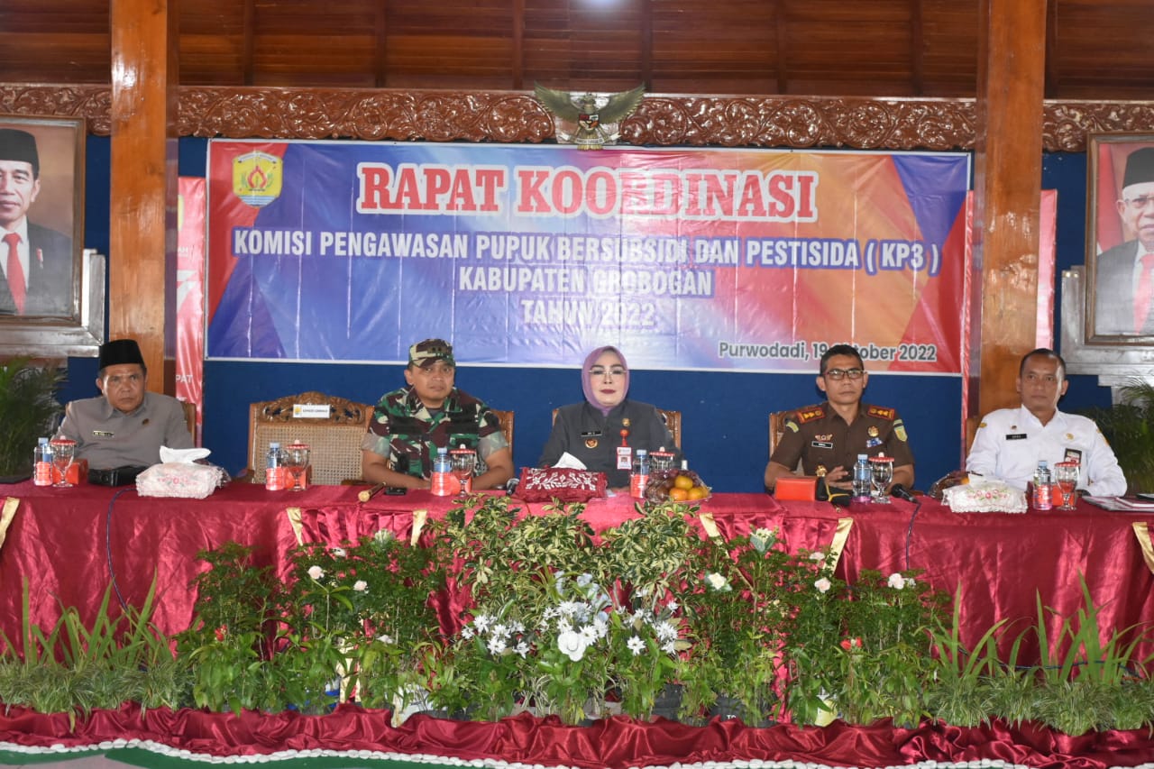 IMG 20221019 WA0001