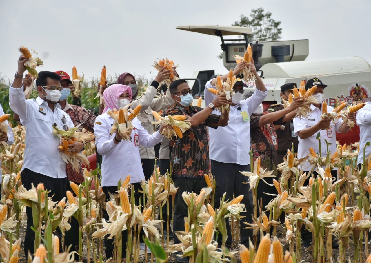 WhatsApp Image 2021 09 30 at 09.35.05