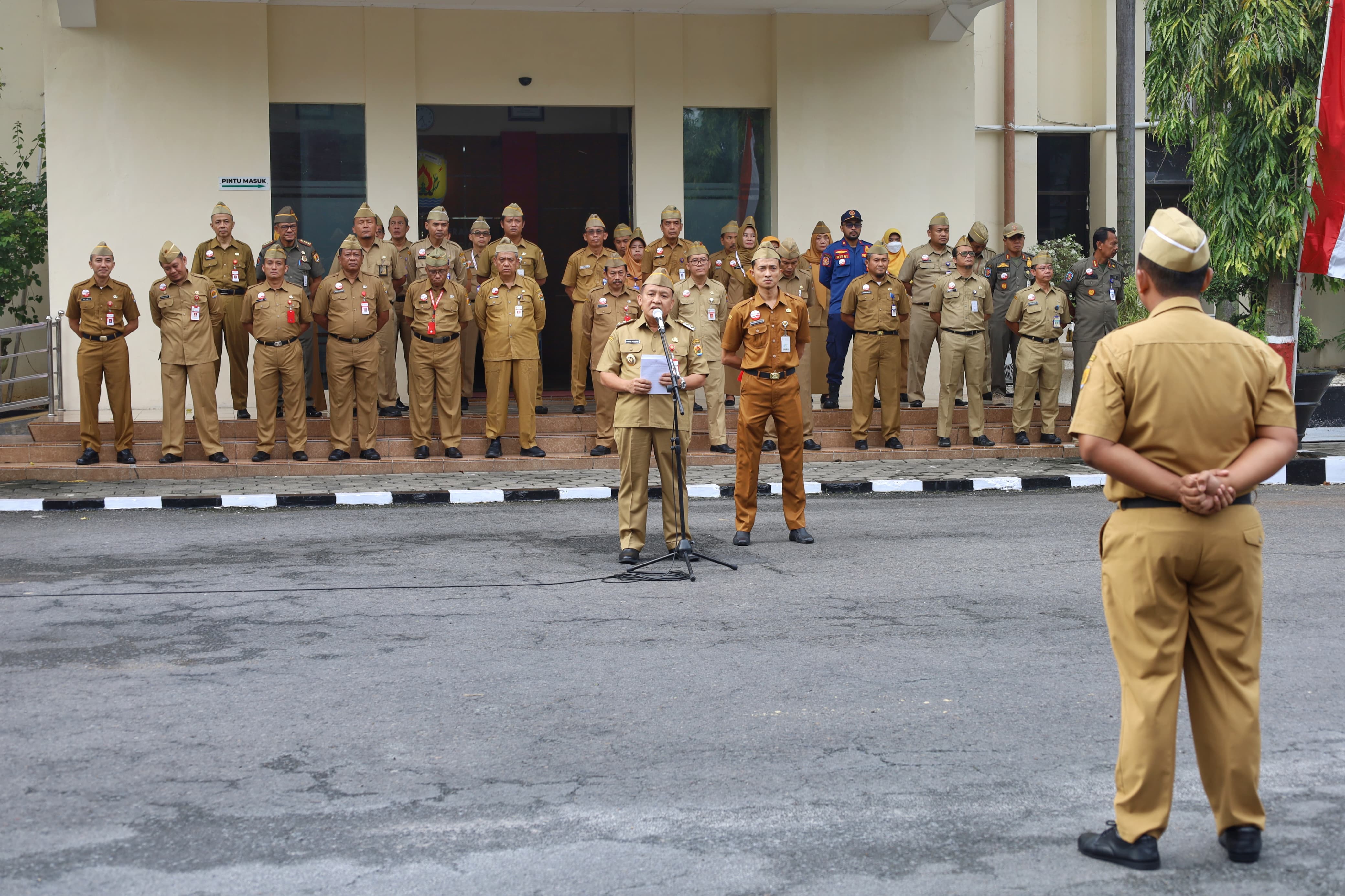 WhatsApp Image 2025 02 24 at 08.31.25