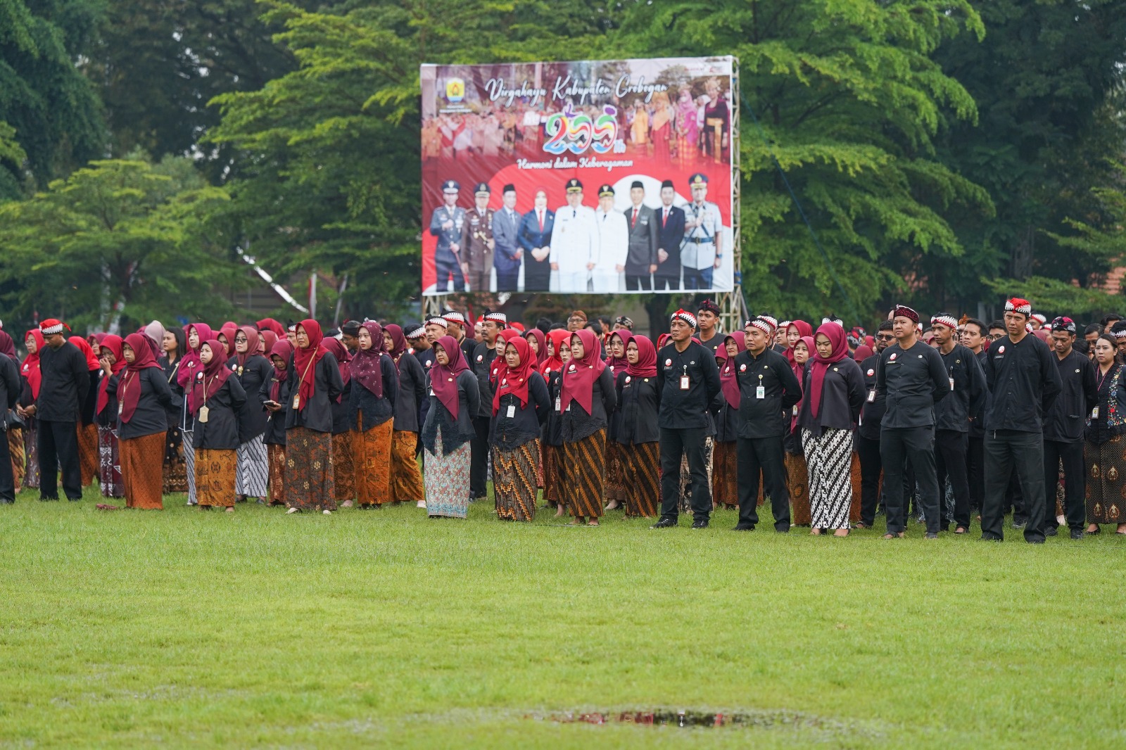 WhatsApp Image 2025 03 04 at 11.25.45