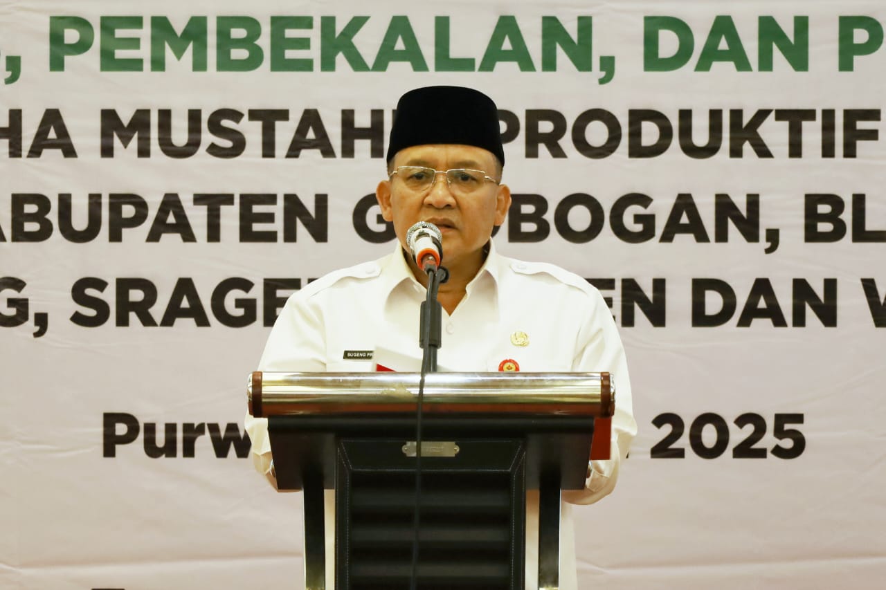 WhatsApp Image 2025 05 07 at 14.55.05 2