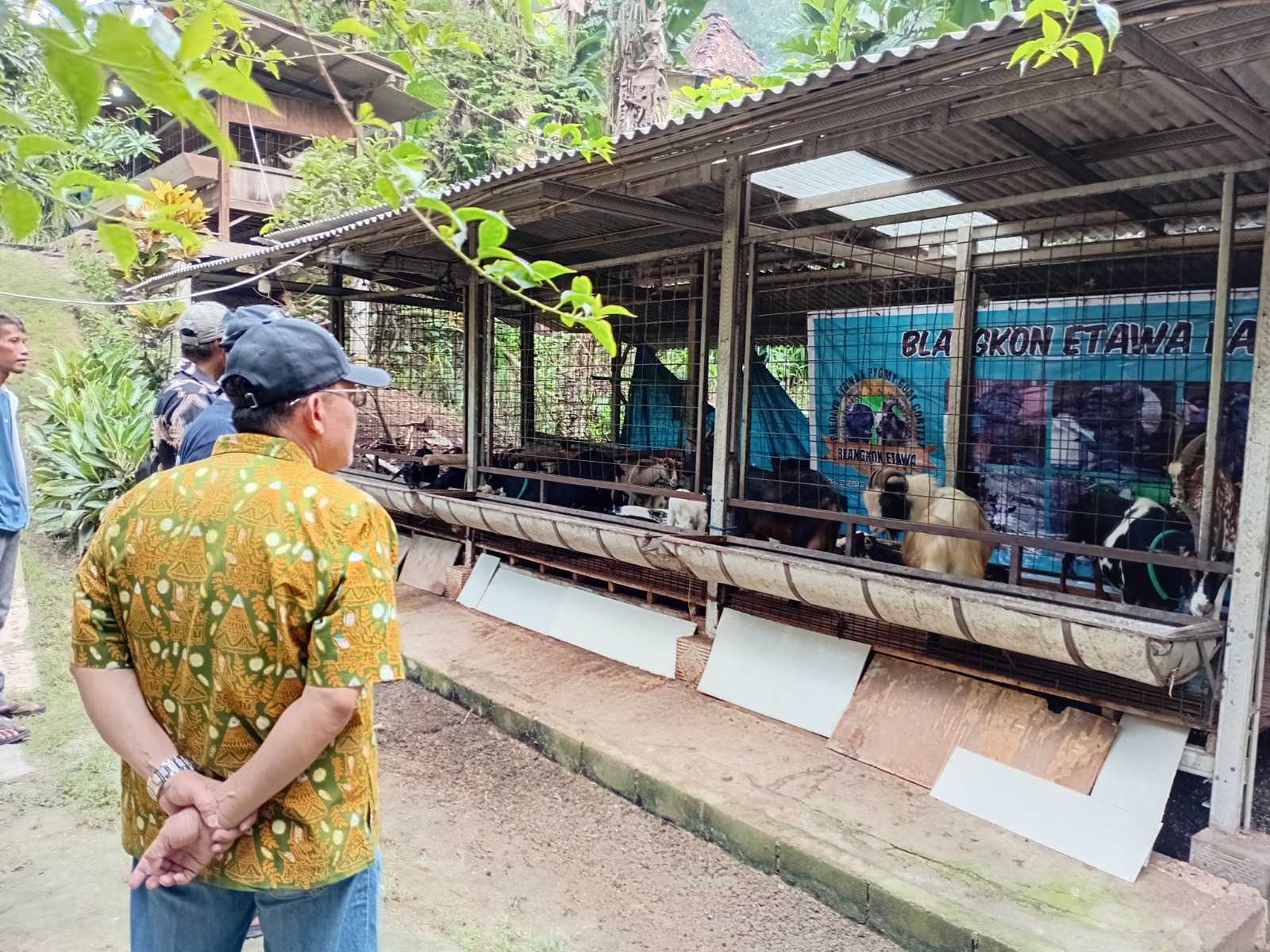 WhatsApp Image 2025 05 31 at 17.35.30