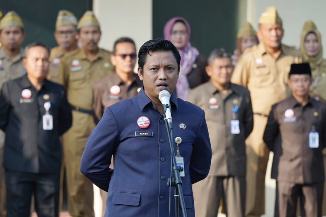 WhatsApp Image 2025 07 06 at 18.29.07