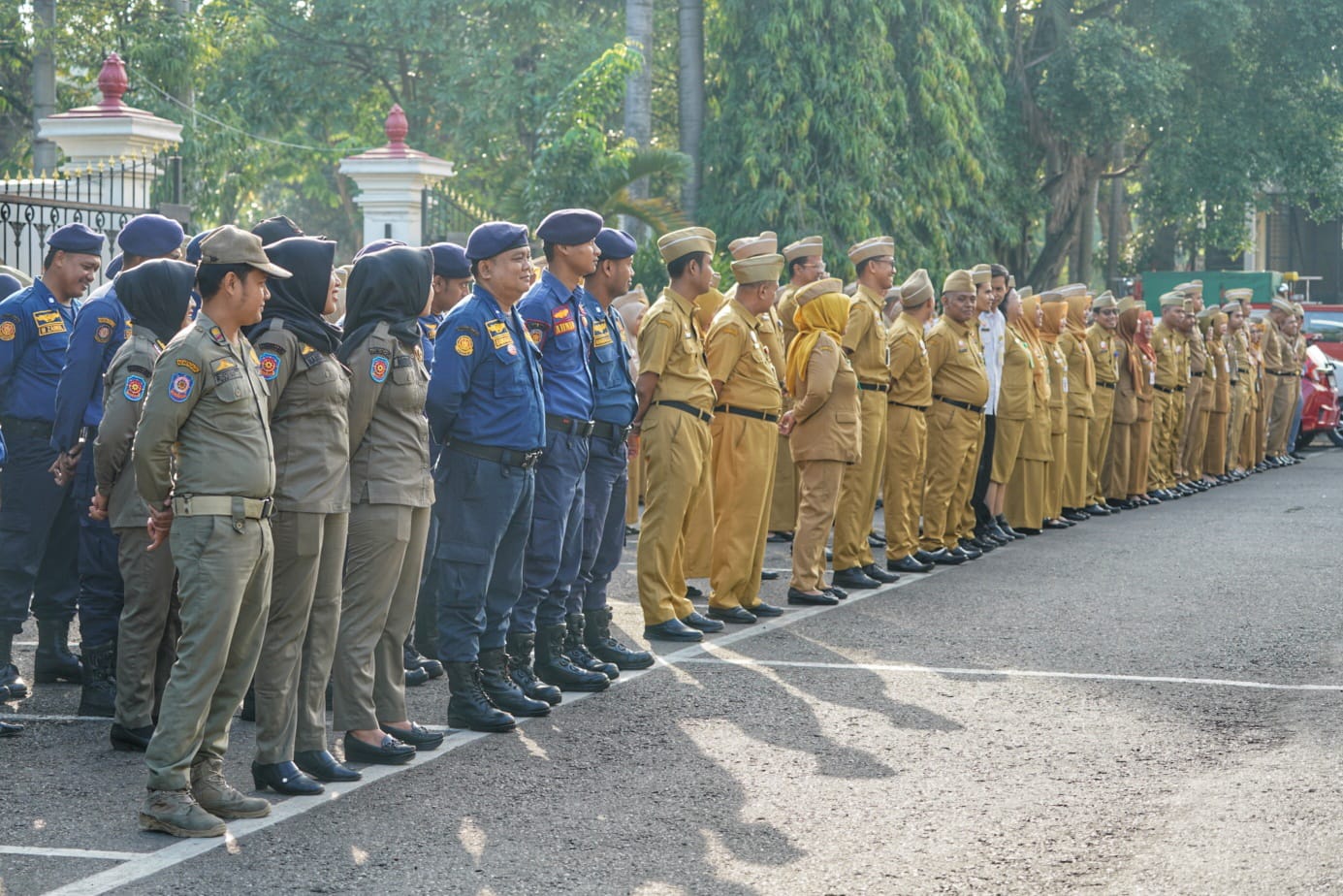 WhatsApp Image 2025 07 06 at 18.29.25