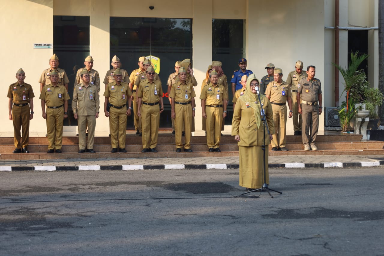 WhatsApp Image 2025 07 28 at 07.51.19