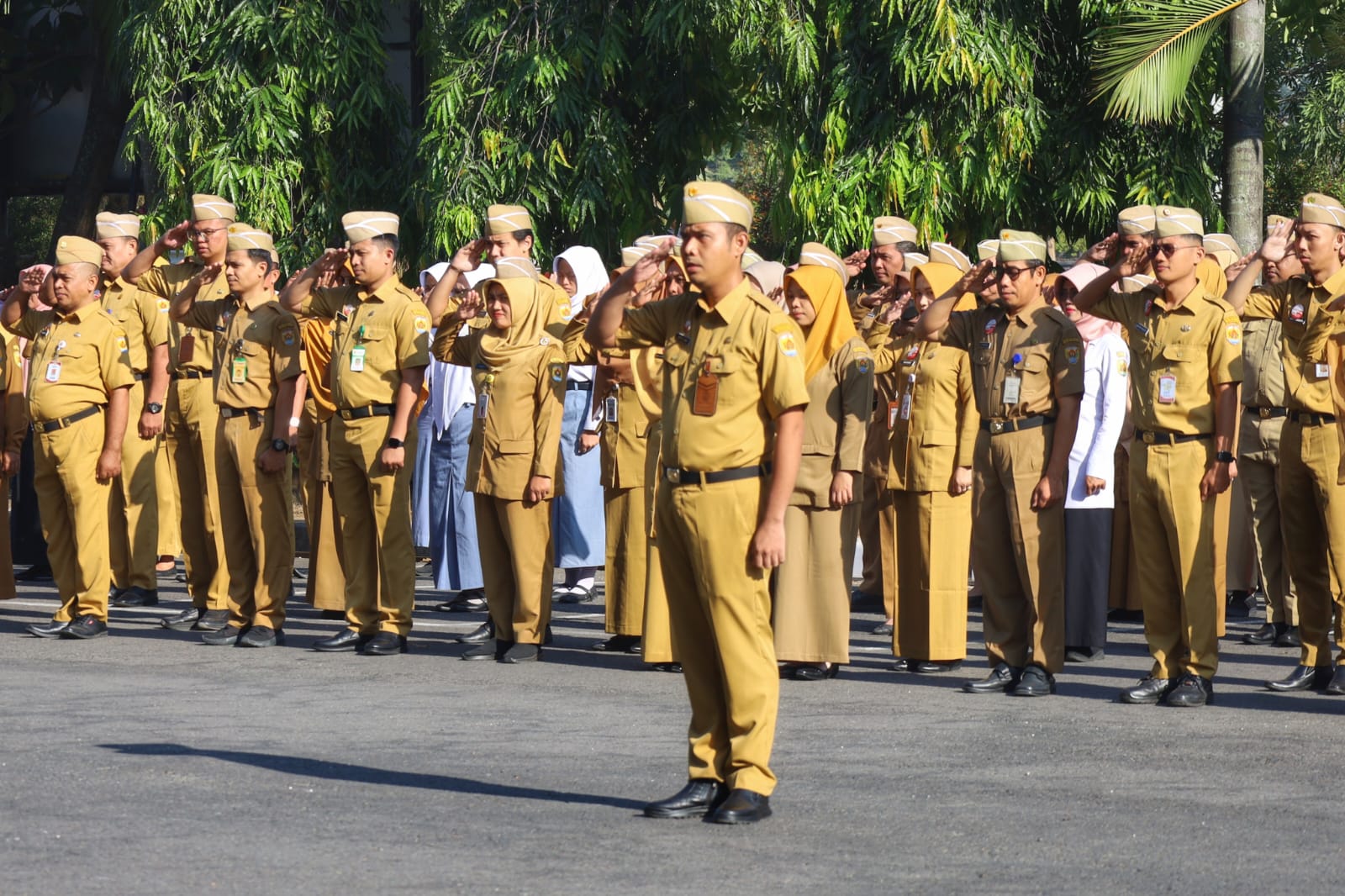 WhatsApp Image 2025 10 13 at 08.18.41