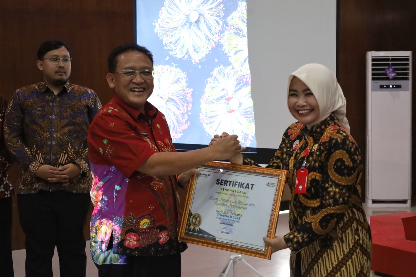 WhatsApp Image 2025 12 16 at 16.13.35