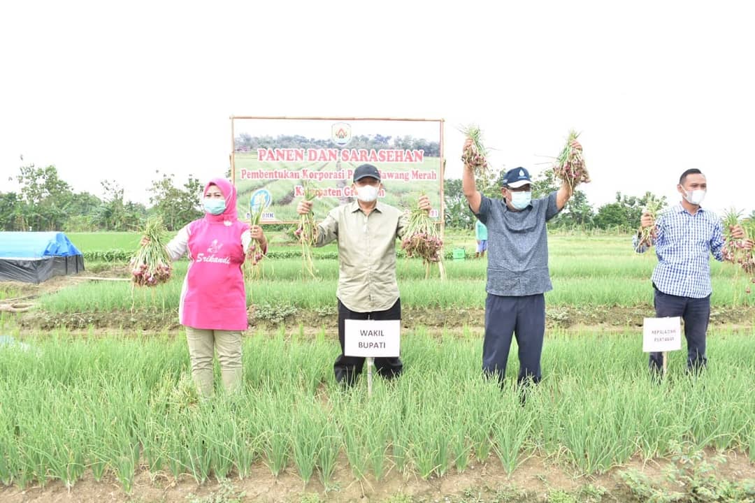 IMG 20210508 101632 400